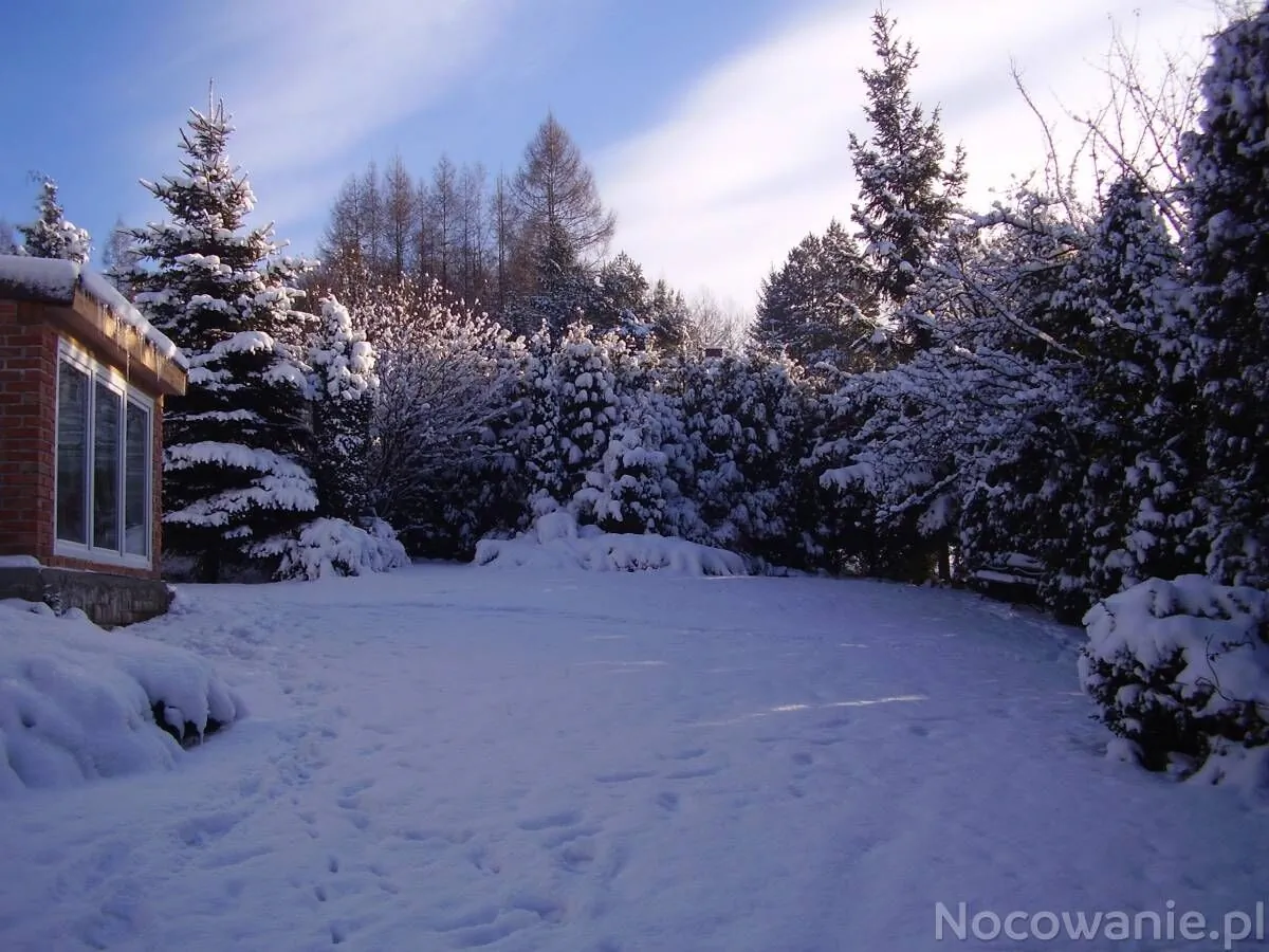 Ściborówka - foto 5