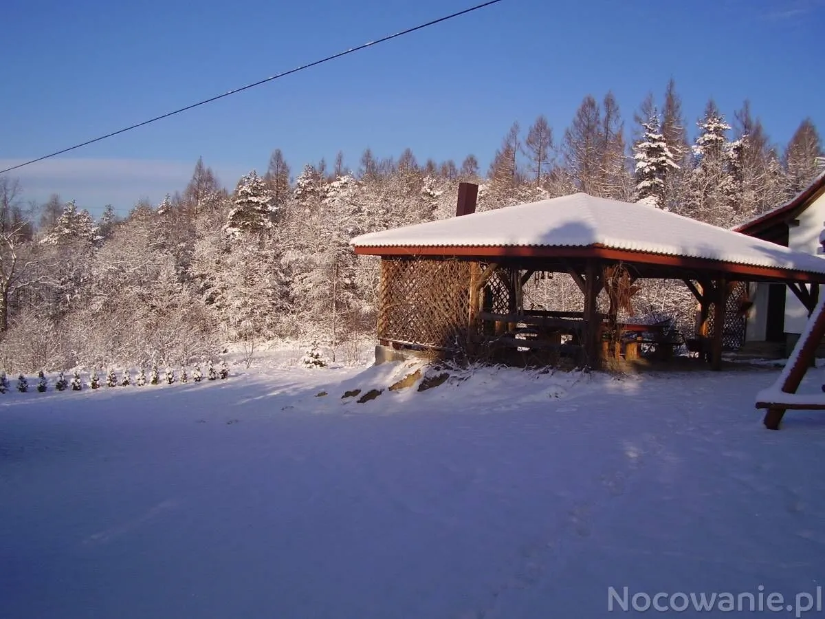Ściborówka - foto 6
