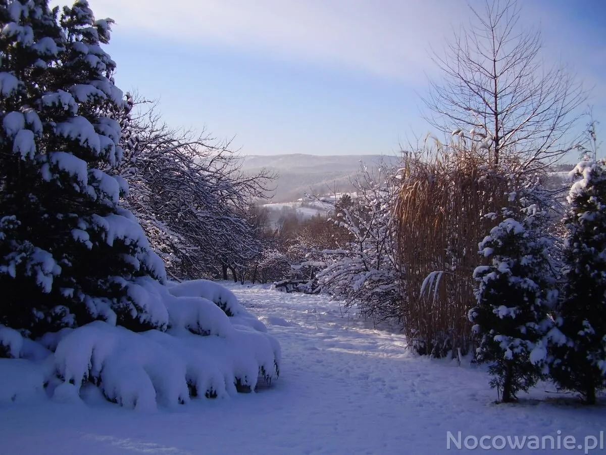 Ściborówka - foto 8