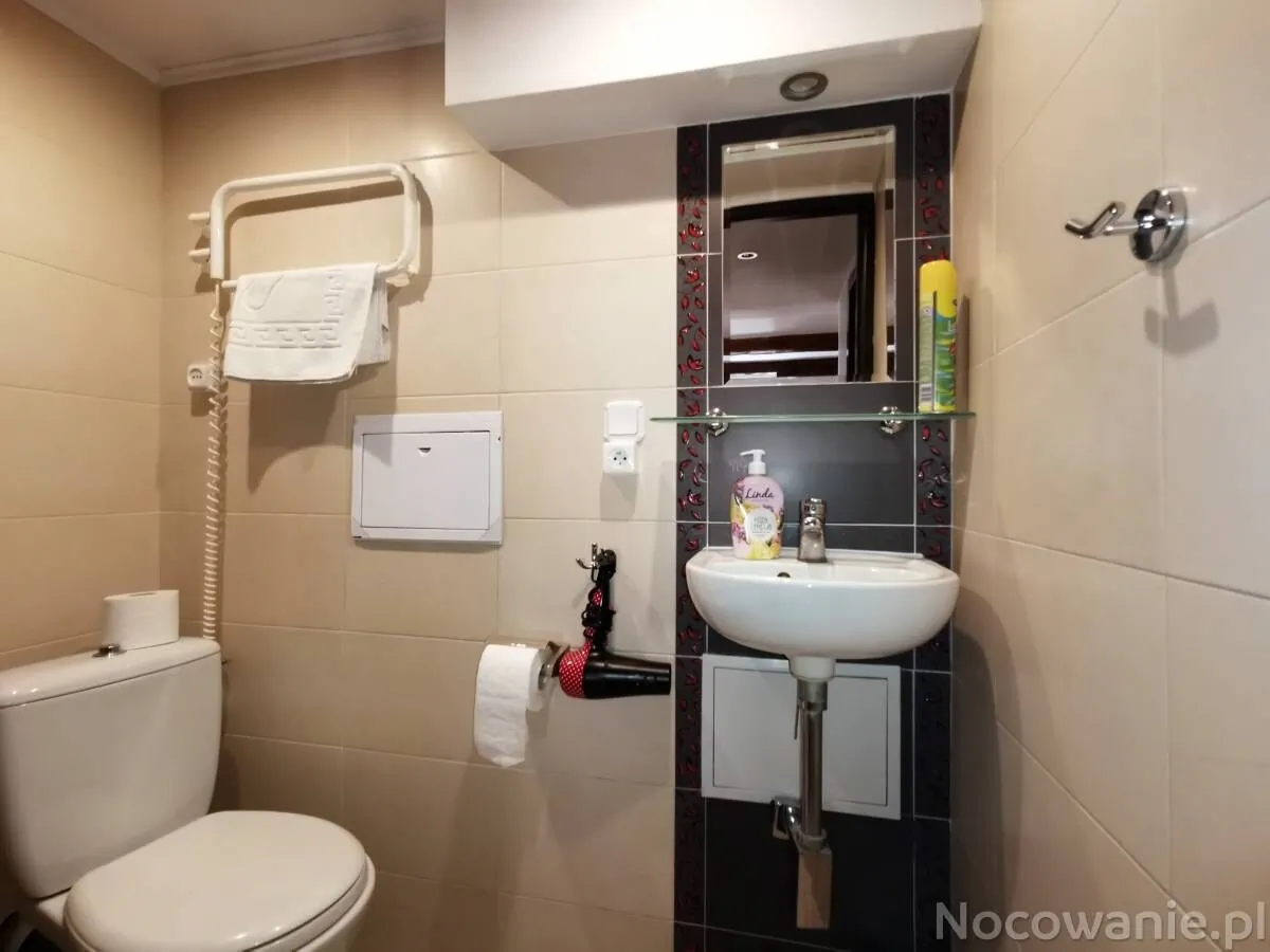 Apartament Pod Krzywą Wieżą Toruń - foto 10