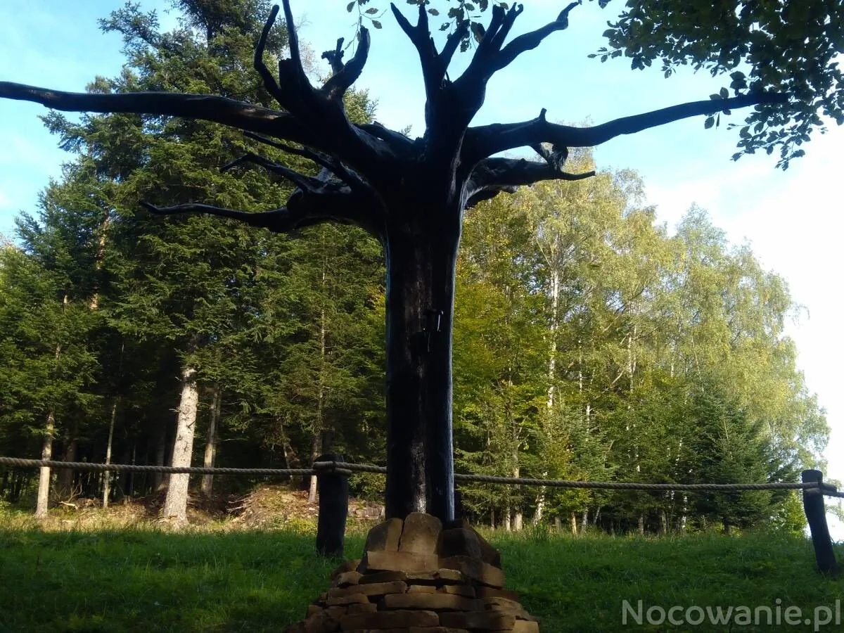 Domki Pod Biegunem. Strefa Relaksu. Bajkowy Świat Smerfów – Żywiec, Polonia