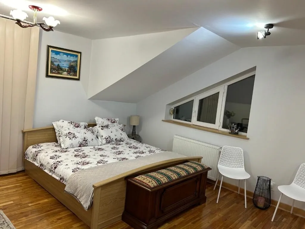 Casa Levi Lugoj - foto 1