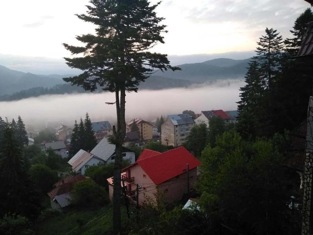 Pensiunea Turistică Milcov-Vlădeț Predeal - foto 4