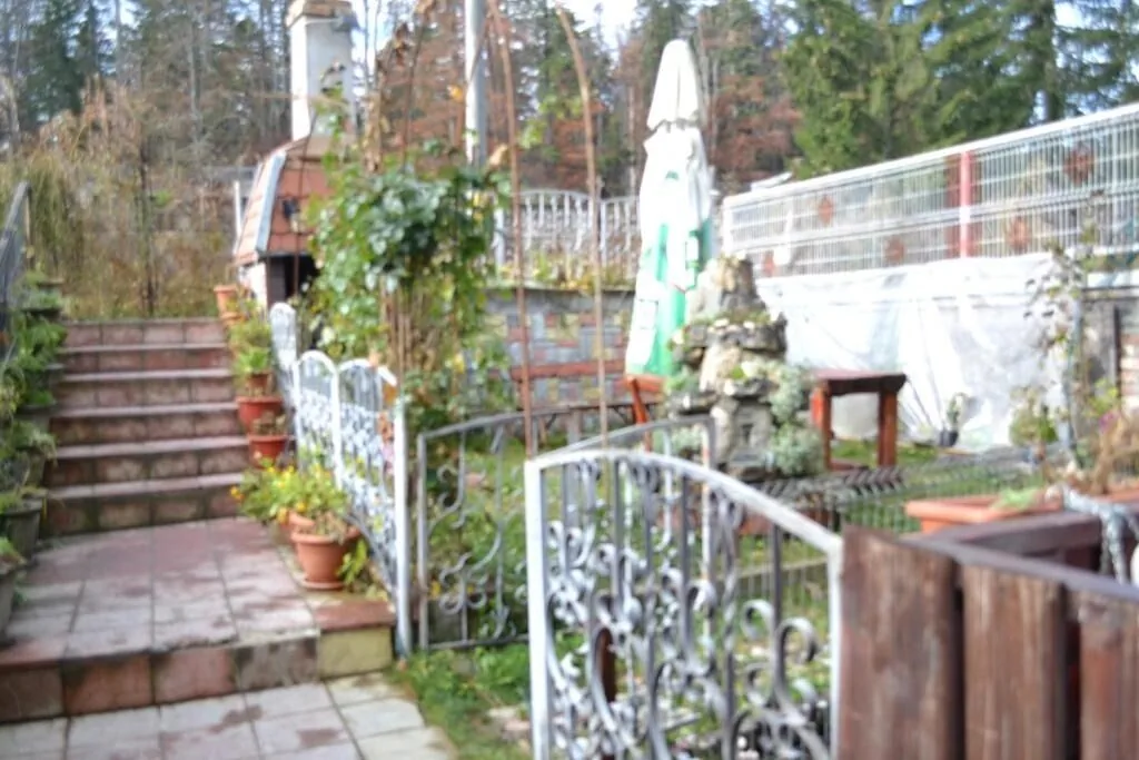 Pensiunea Turistică Milcov-Vlădeț Predeal - foto 6