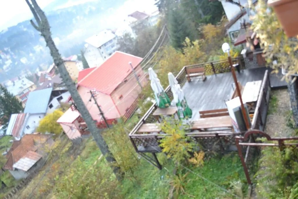Pensiunea Turistică Milcov-Vlădeț Predeal - foto 7