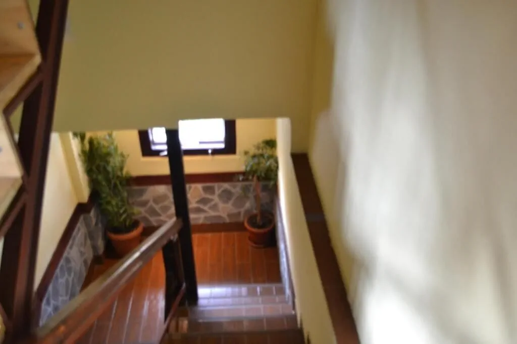 Pensiunea Turistică Milcov-Vlădeț Predeal - foto 8