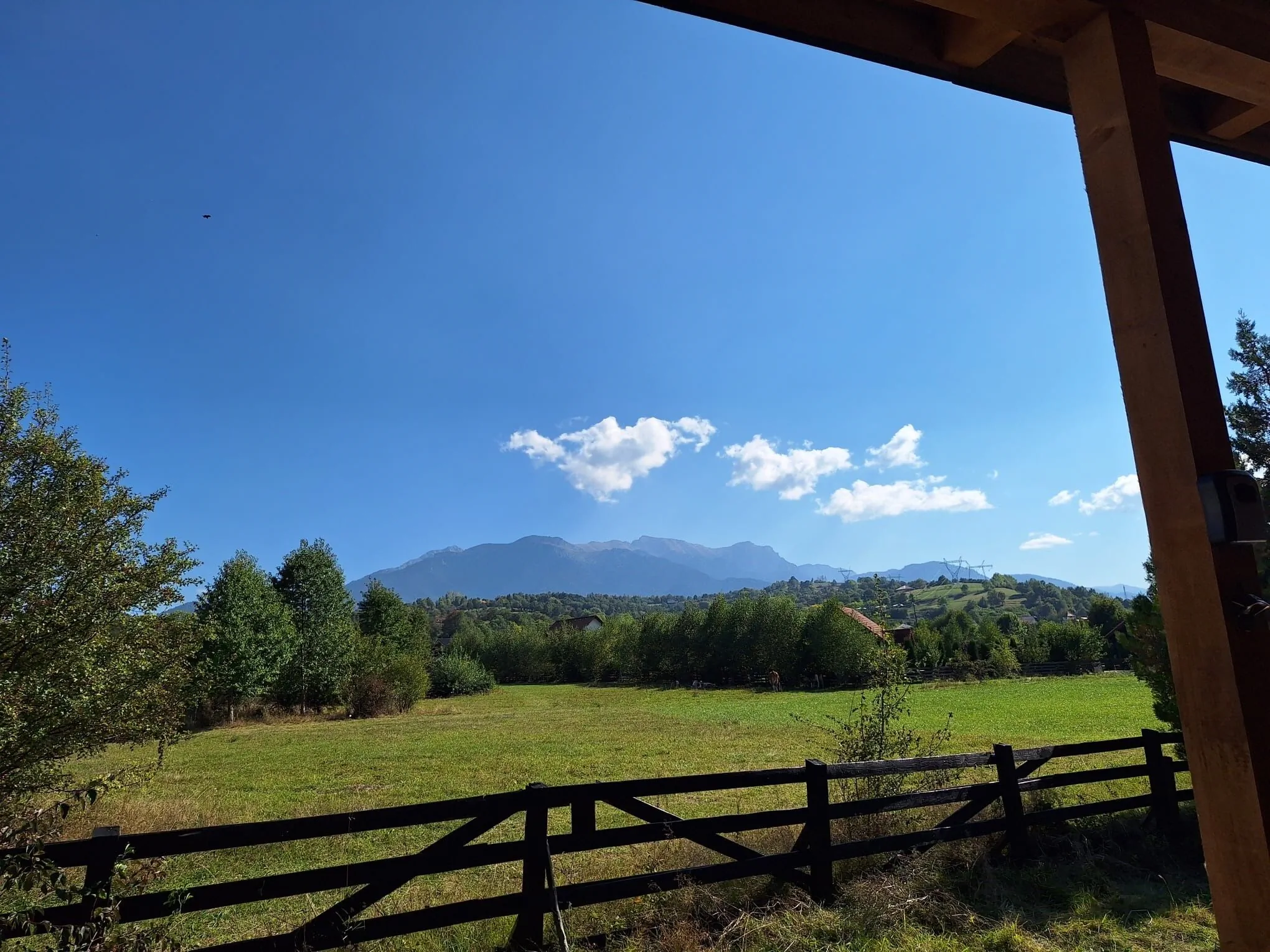 Cabana Nori Albi Bran – Tohanu Nou, România