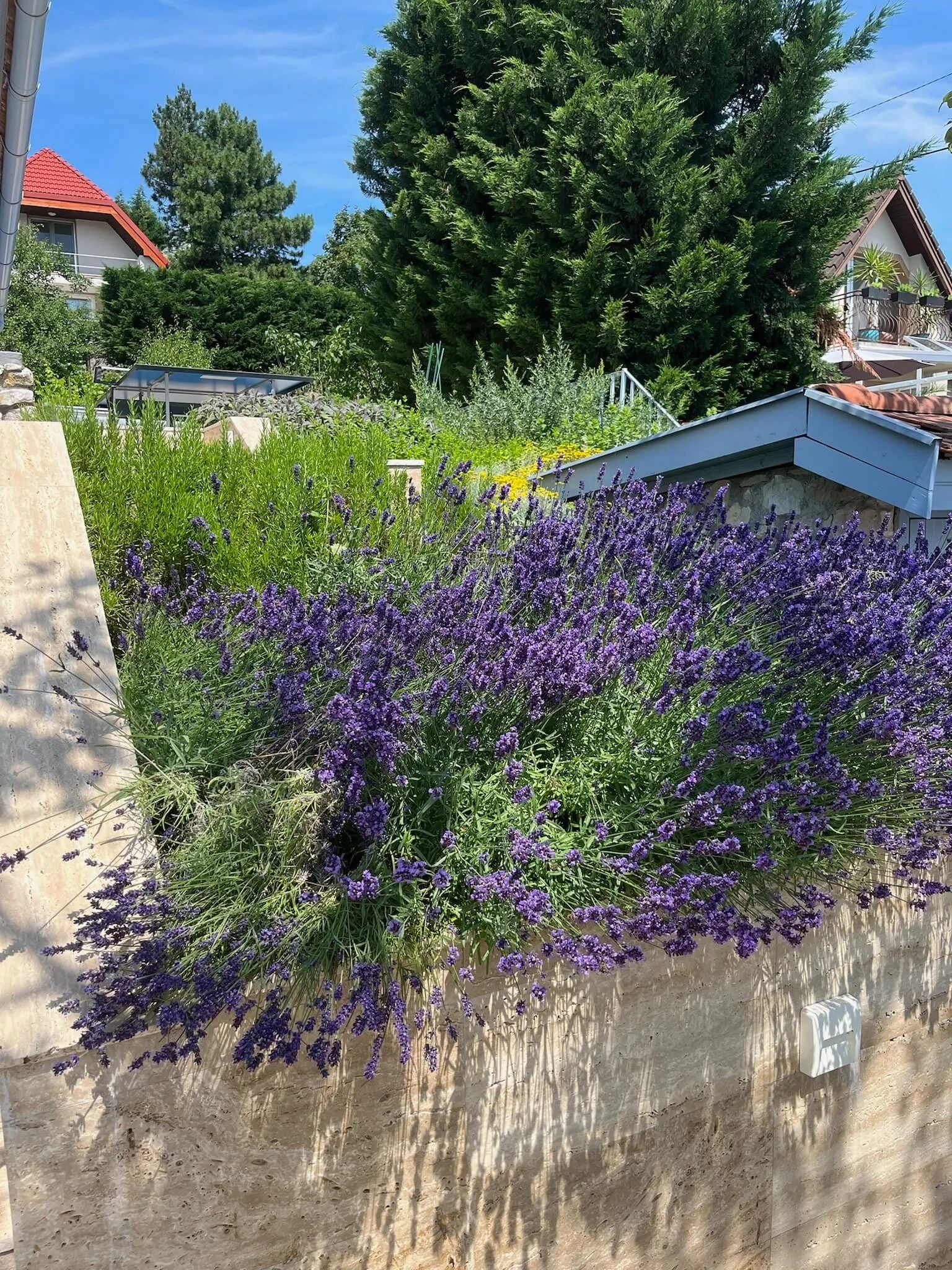 Villa Julia Velence – Velence, Ungaria