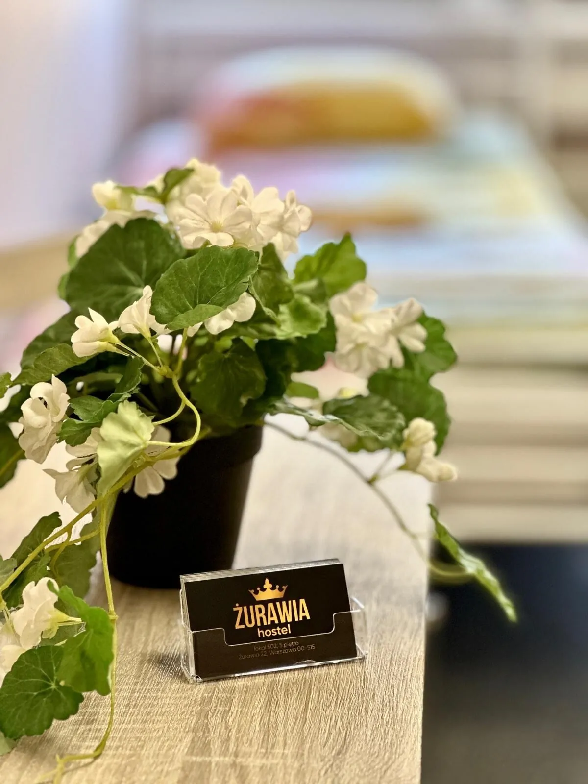 Hostel Żurawia Warszawa – Warszawa, Polska