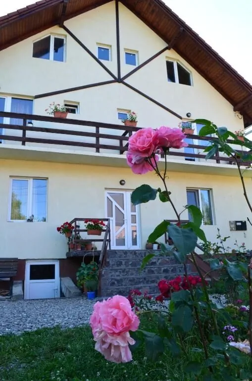 Casa Julia Bran – Bran, România