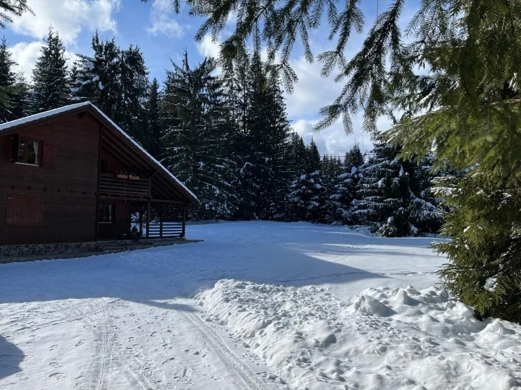 Casa de Vacanță Dintre Brazi Toplița – Topliţa, România