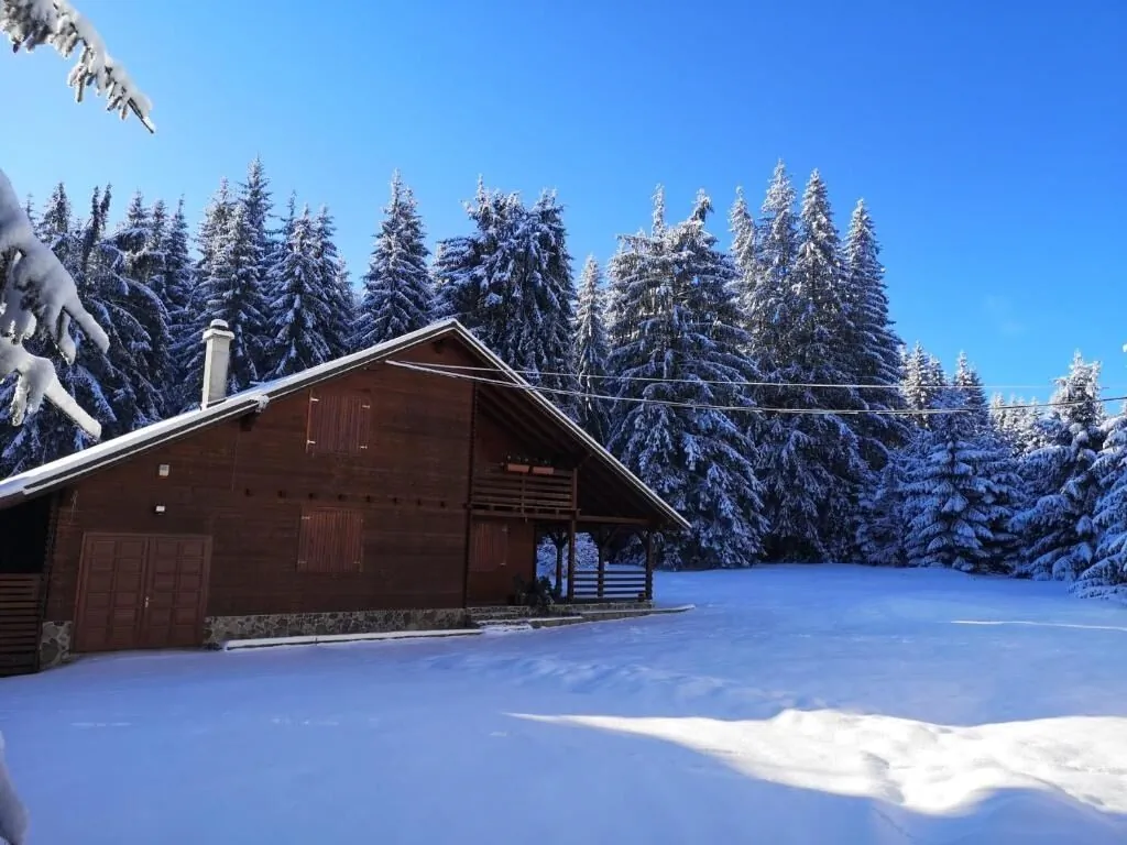 Casa de Vacanță Dintre Brazi Toplița – Topliţa, România