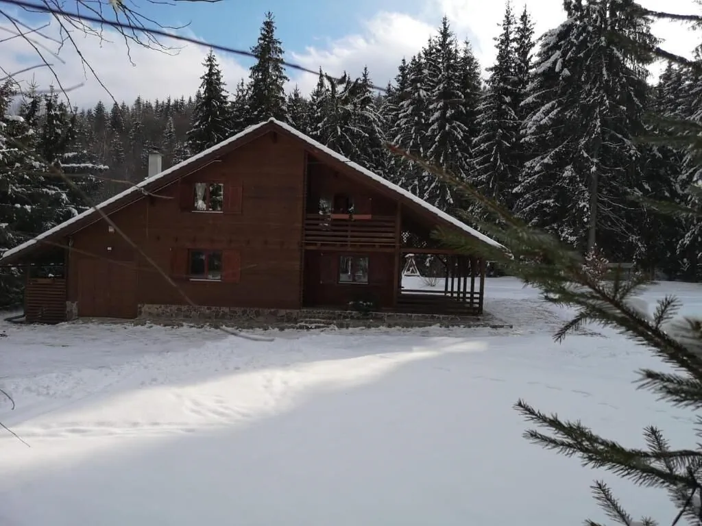 Casa de Vacanță Dintre Brazi Toplița – Topliţa, România