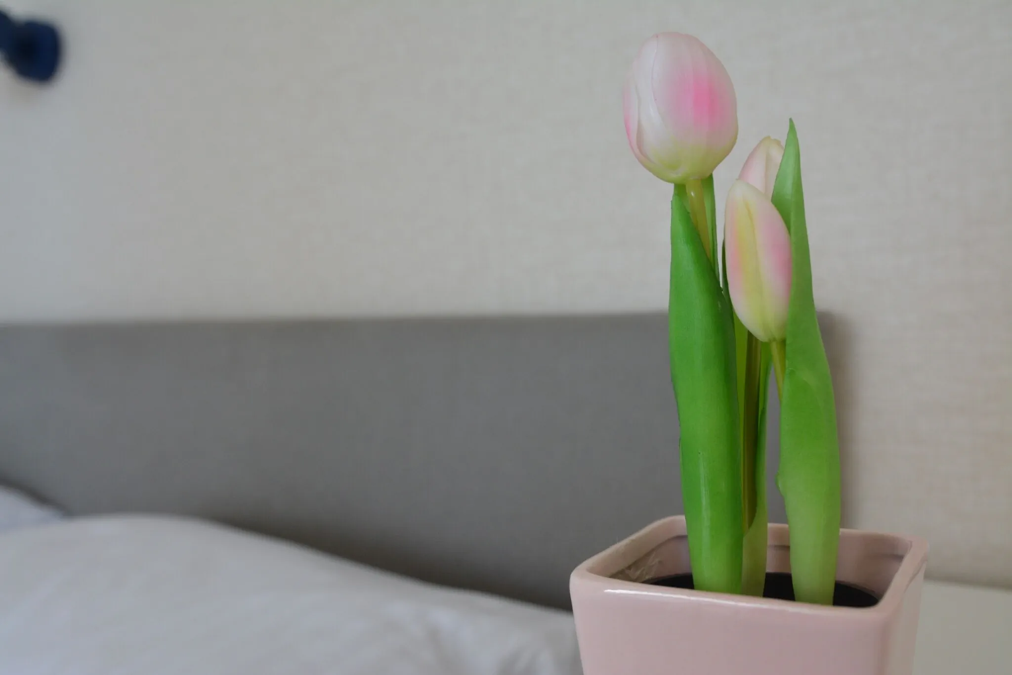Apartament Mario Mechelinki – Mechelinki, Polonia
