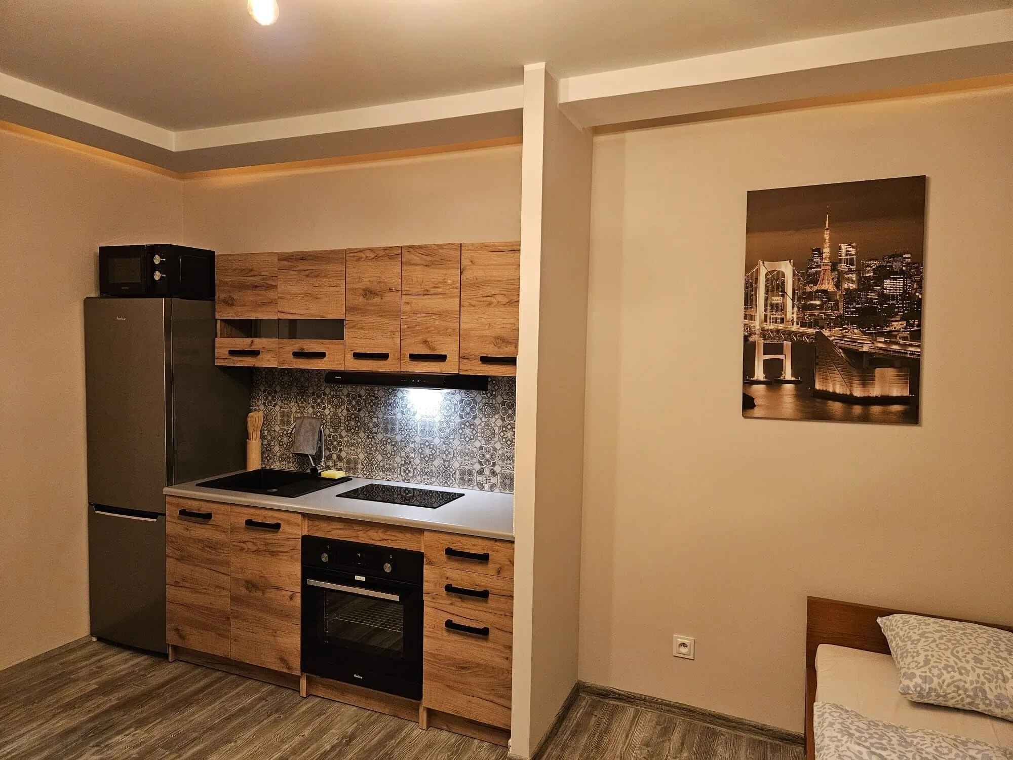 Apartamenty Pokoje Koleczkowo - foto 5