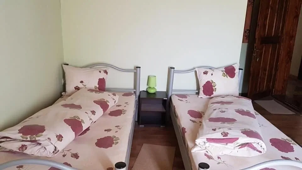 Pensiunea Casa Motilor Bucium – Bucium, România