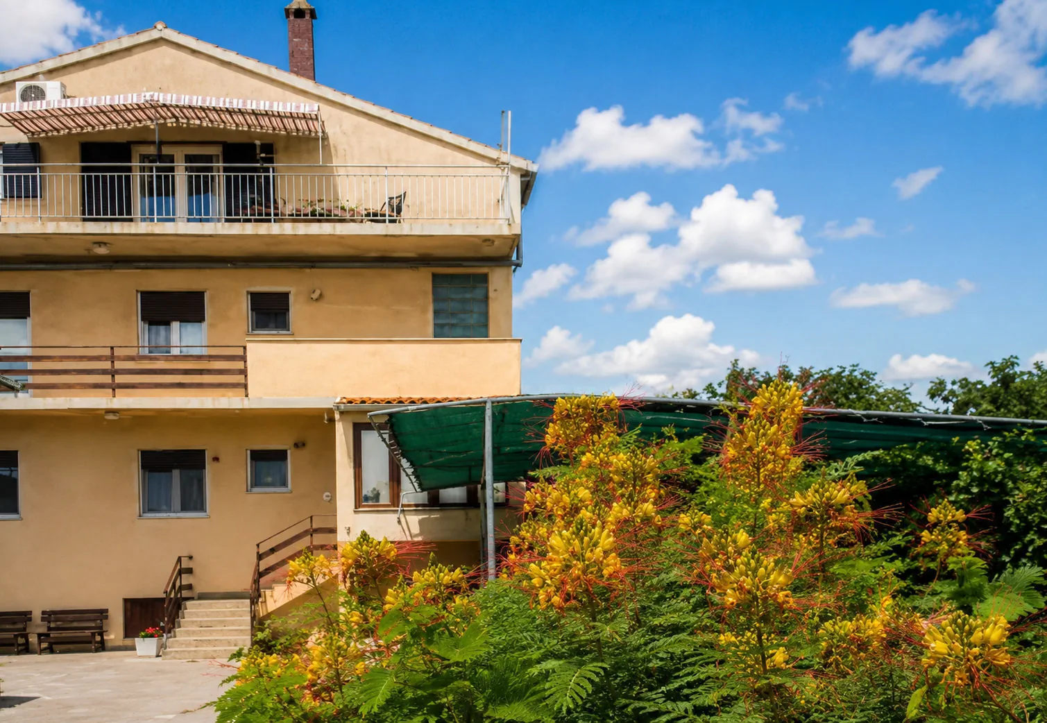 Apartments Ognjen Betina - foto 1