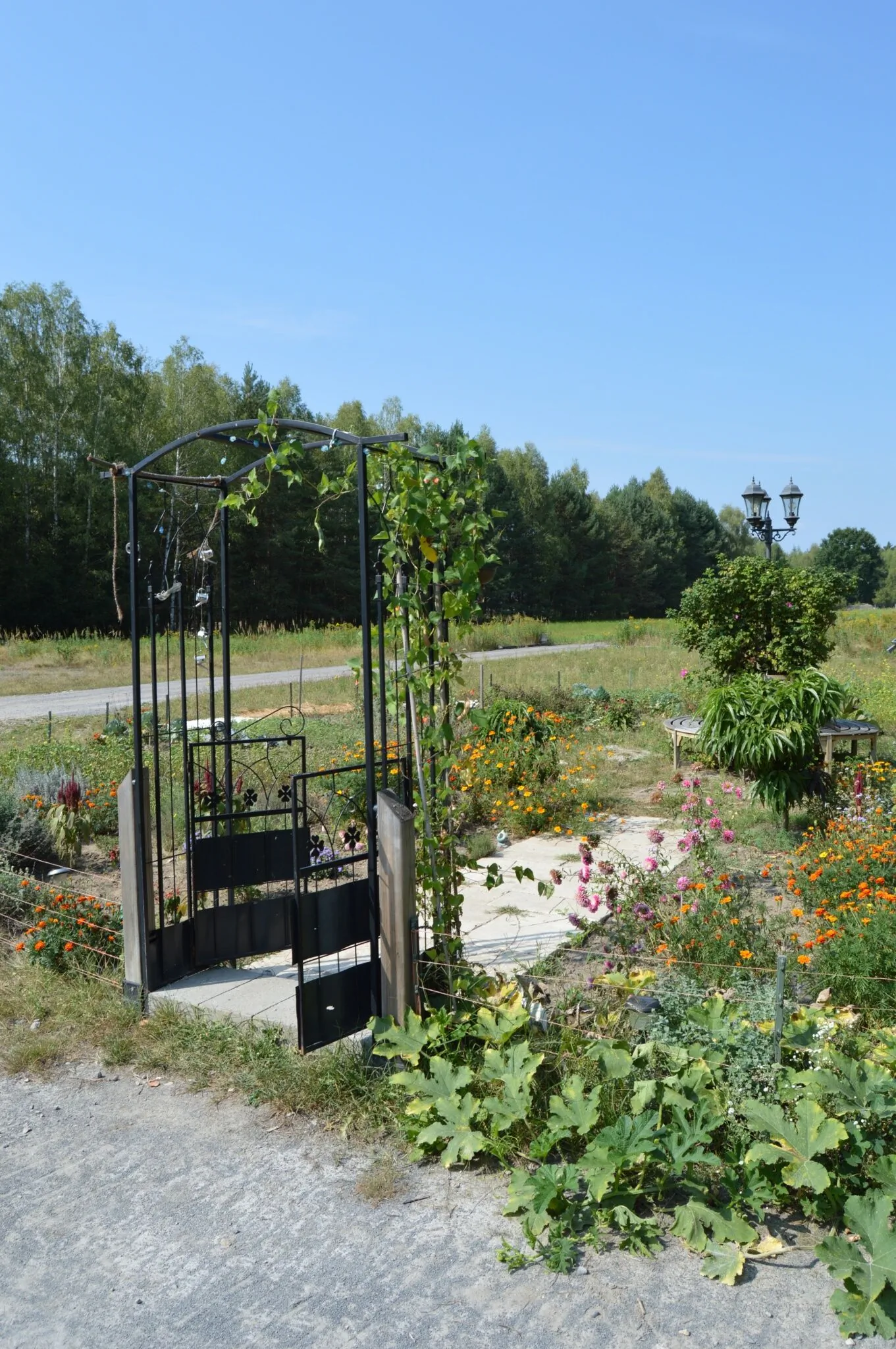 Gospodarstwo agroturystyczne Kruszyna Goliszowiec, Zaklików – Zaklików, Polsko