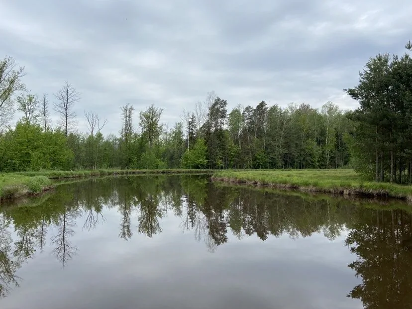 Gospodarstwo agroturystyczne Kruszyna Goliszowiec, Zaklików – Zaklików, Polsko