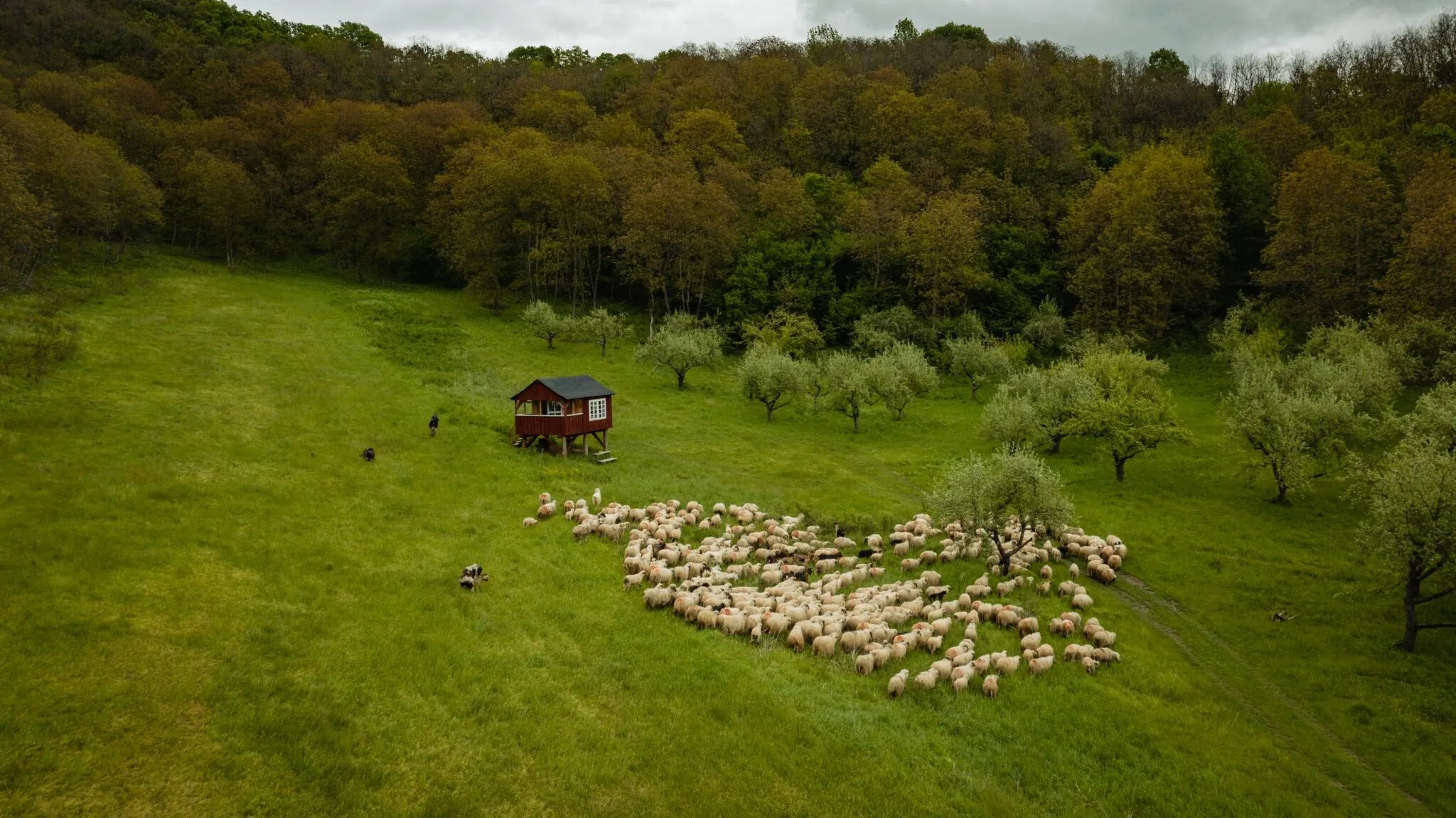 Valea Verde Retreat Cund – Cund, Rumunia