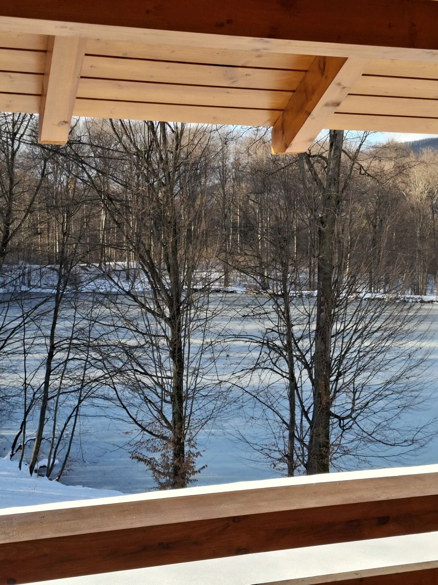 Casa Iris Mogoșa - foto 7
