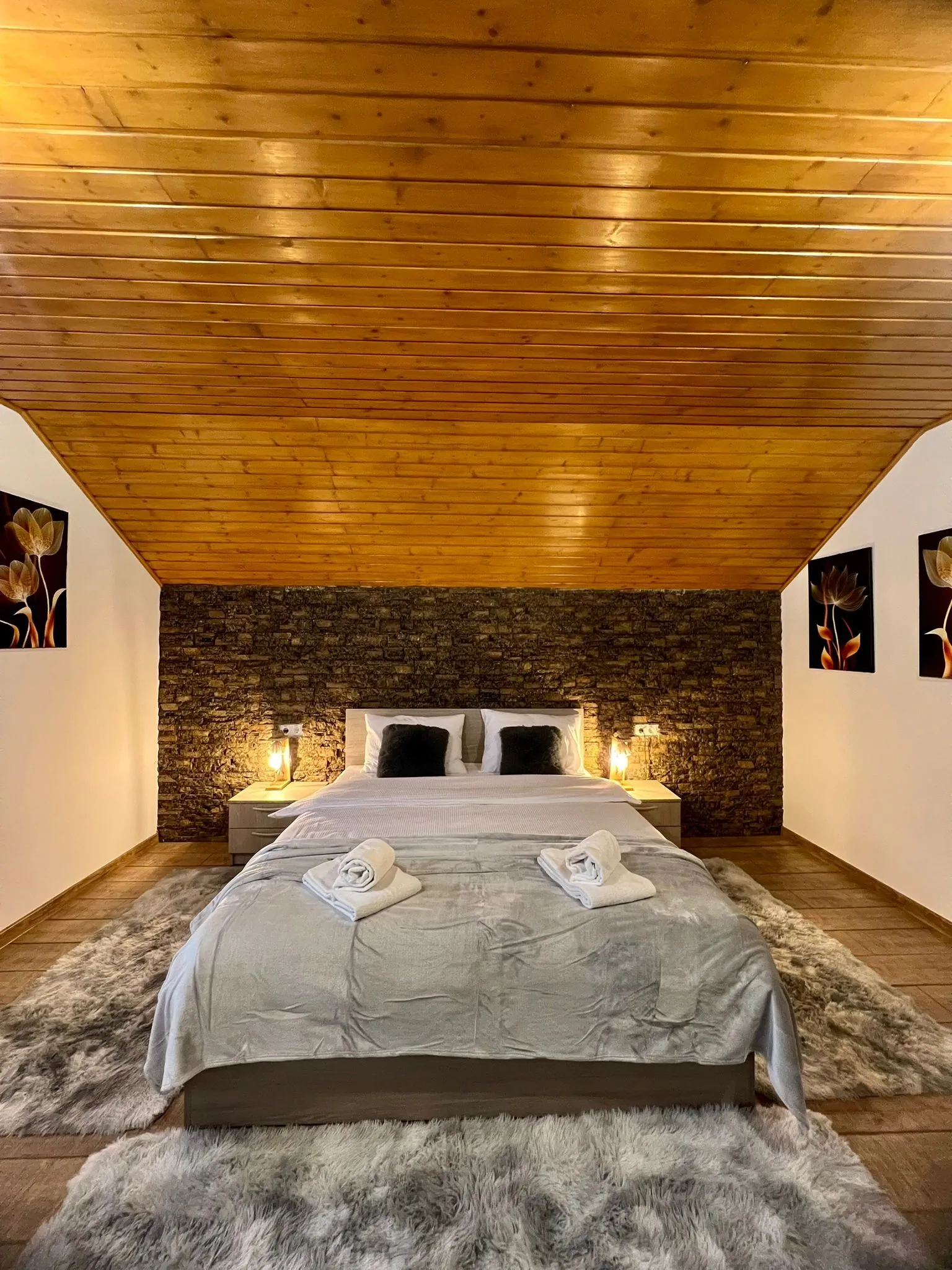 Casa Iris Mogoșa - foto 1