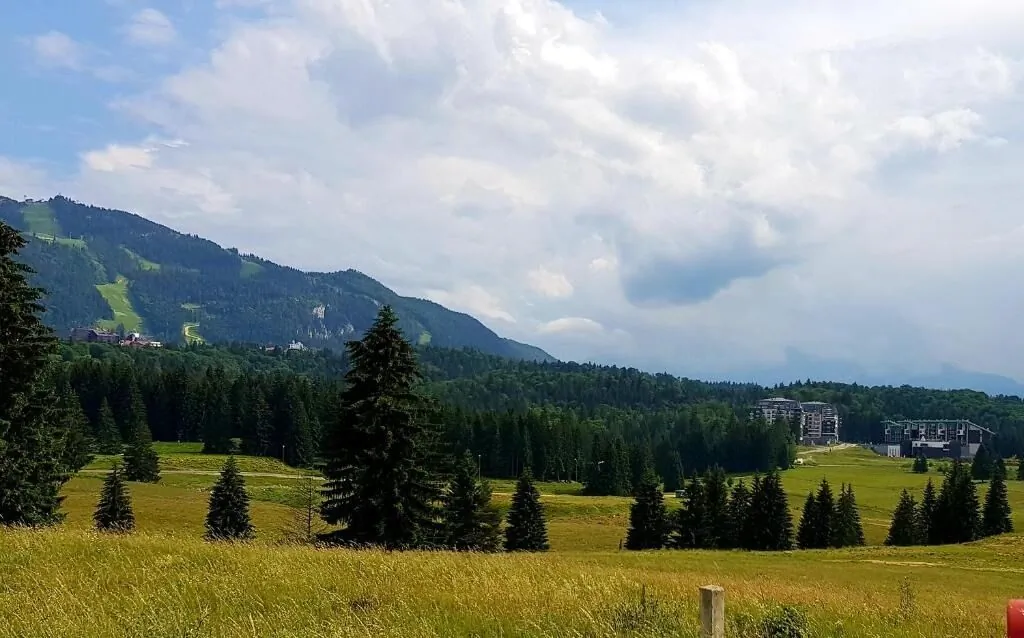 Mountain Relax Apartment Poiana Brașov - foto 3