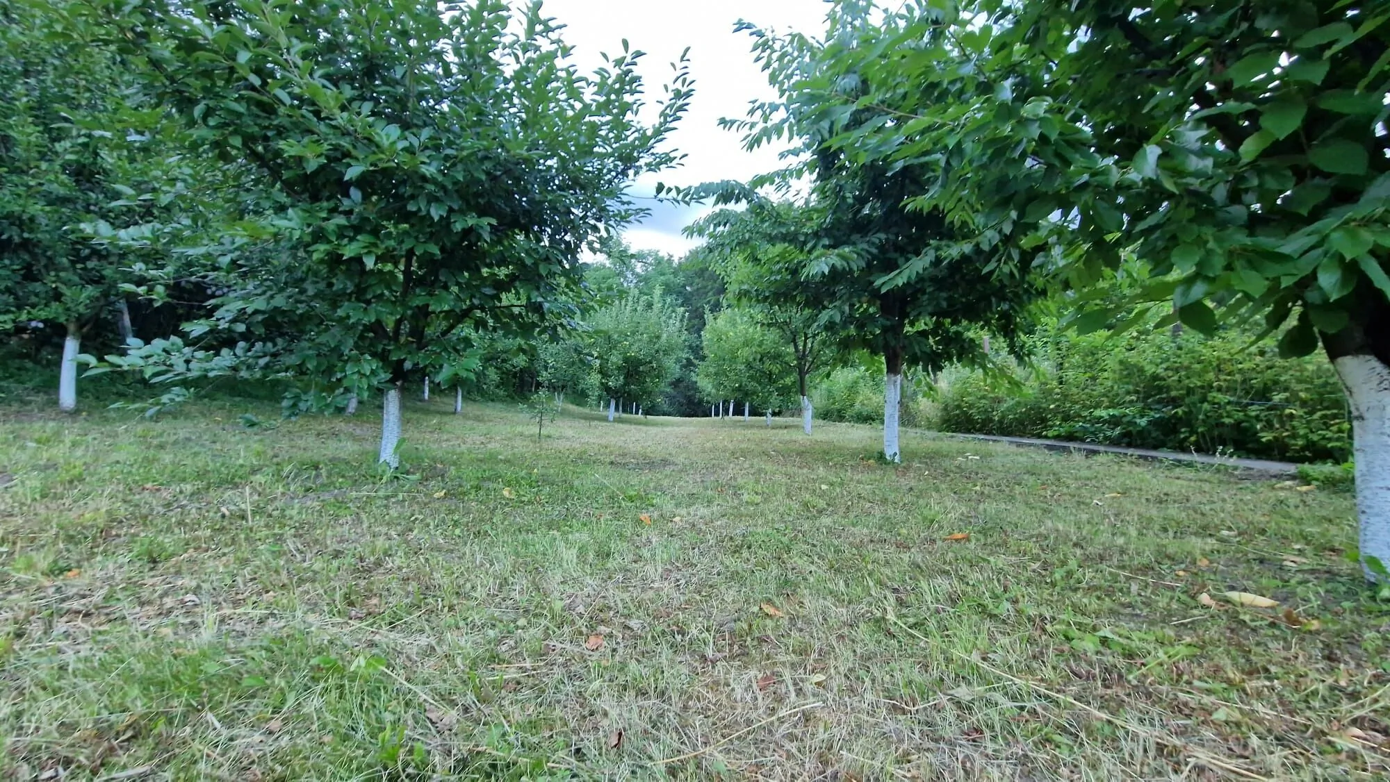 Dursi Home Drajna de Sus - foto 6