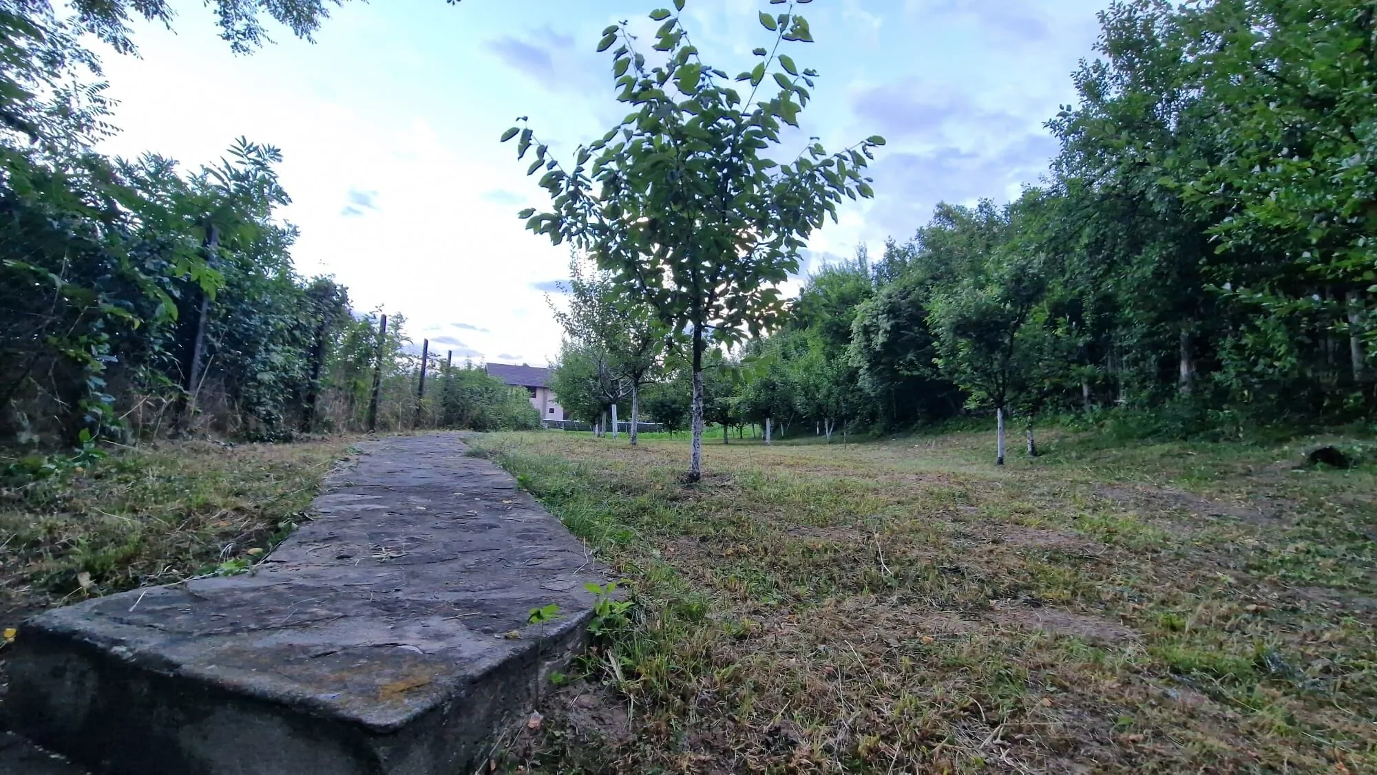 Dursi Home Drajna de Sus - foto 8