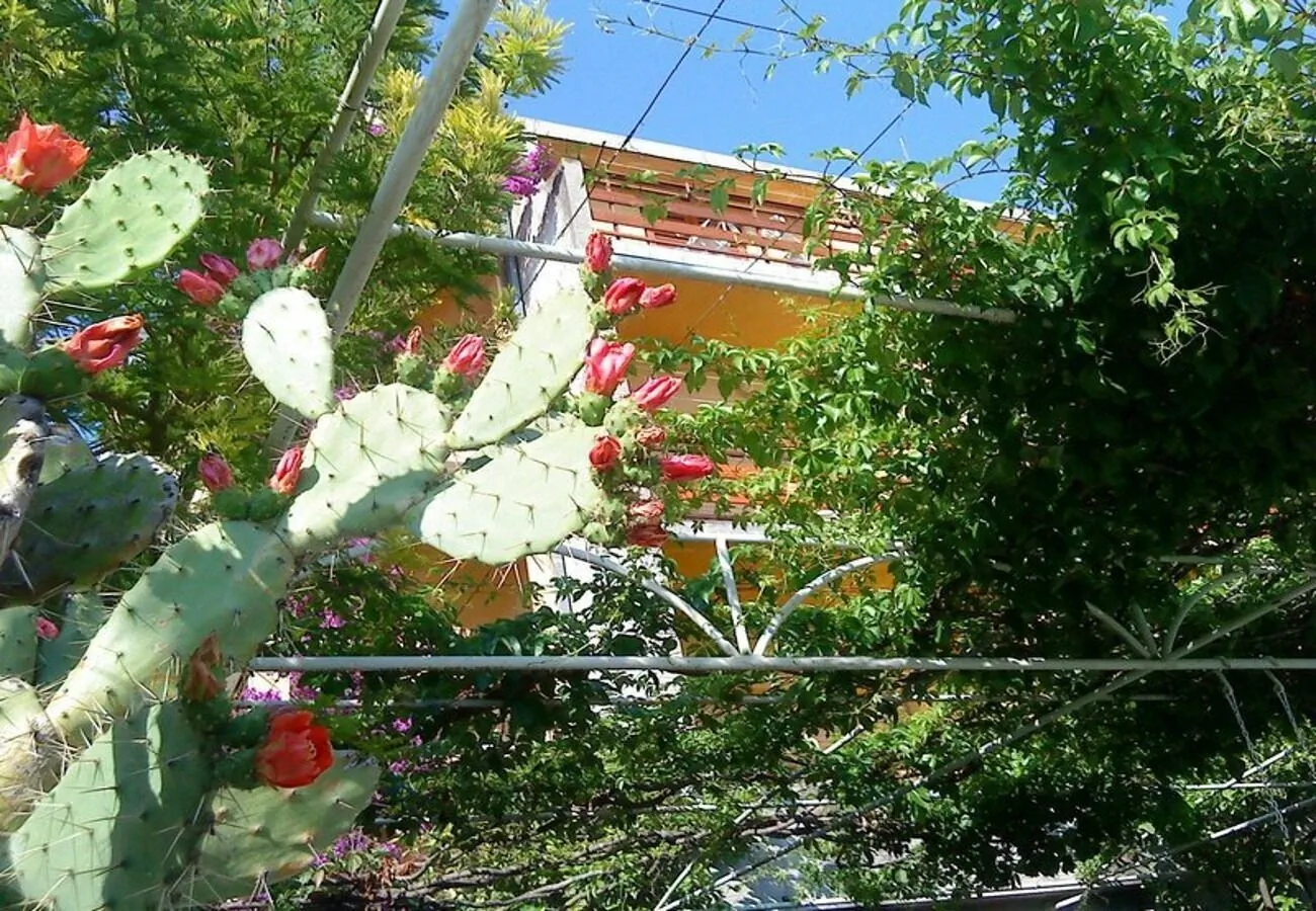 Apartments Bor Makarska – Makarska, Croația
