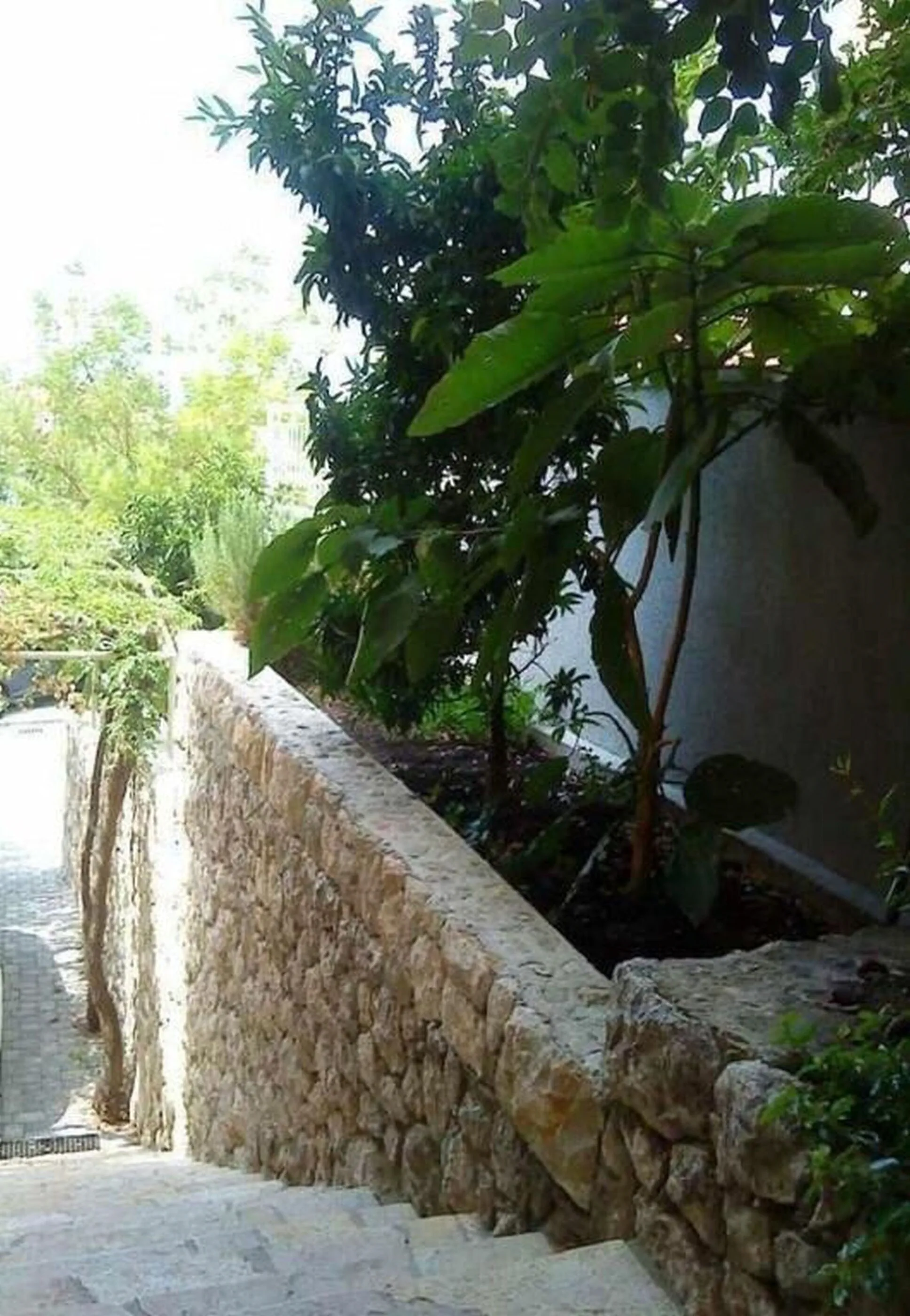 Apartments Bor Makarska – Makarska, Croația