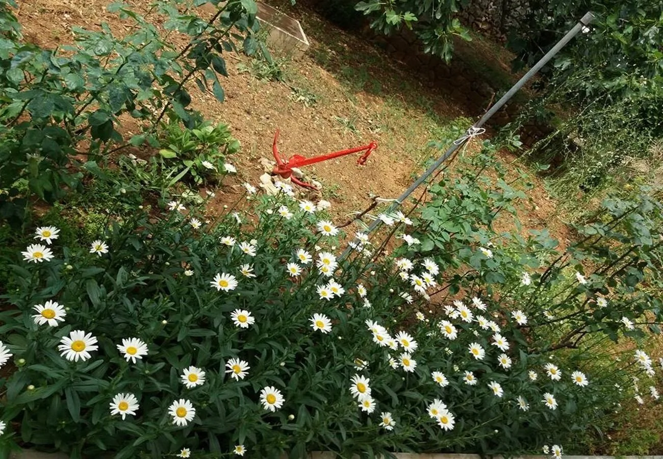 Apartments Ruzica Jezera – Jezera, Chorwacja
