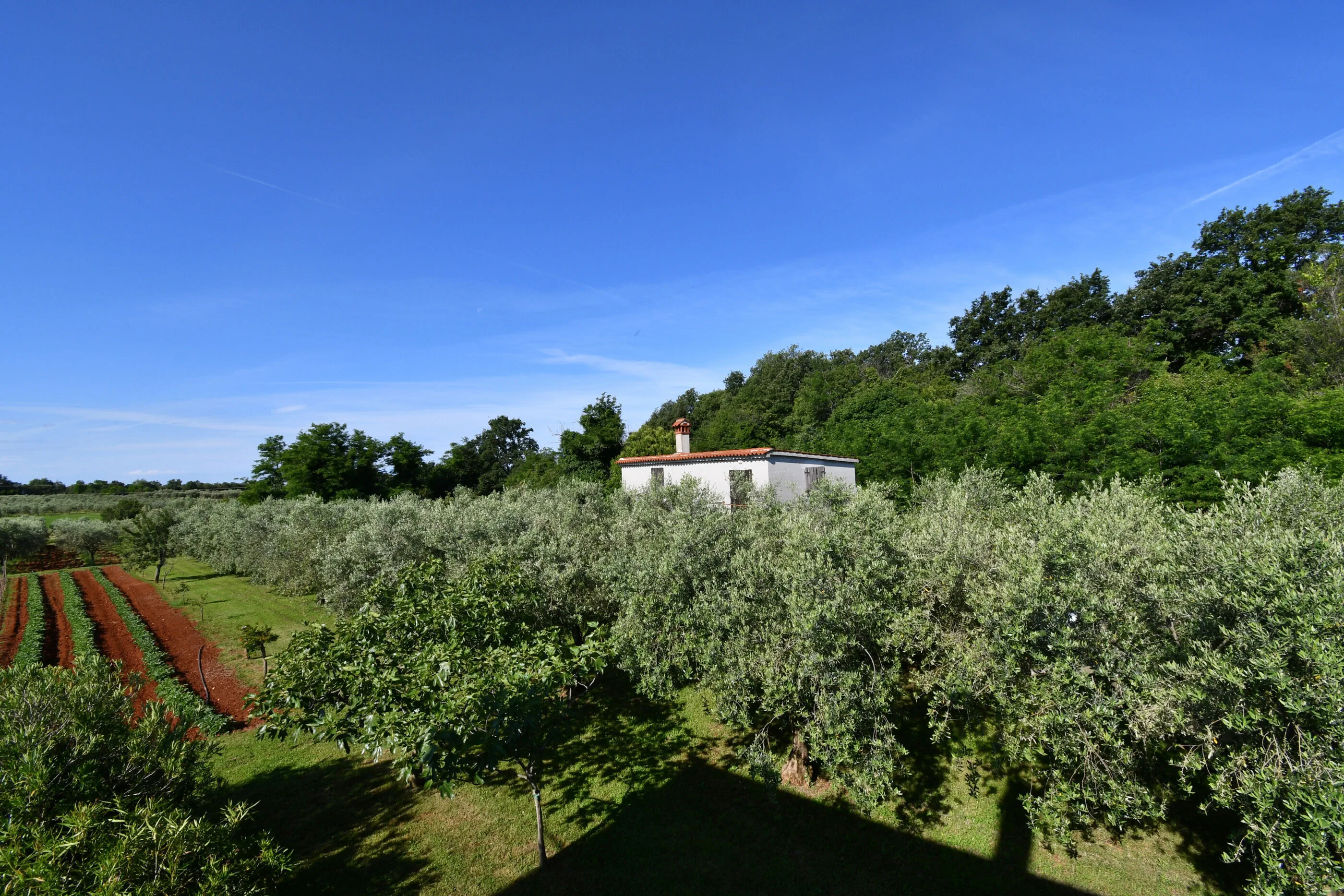 House Ariella Umag – Umag, Croația