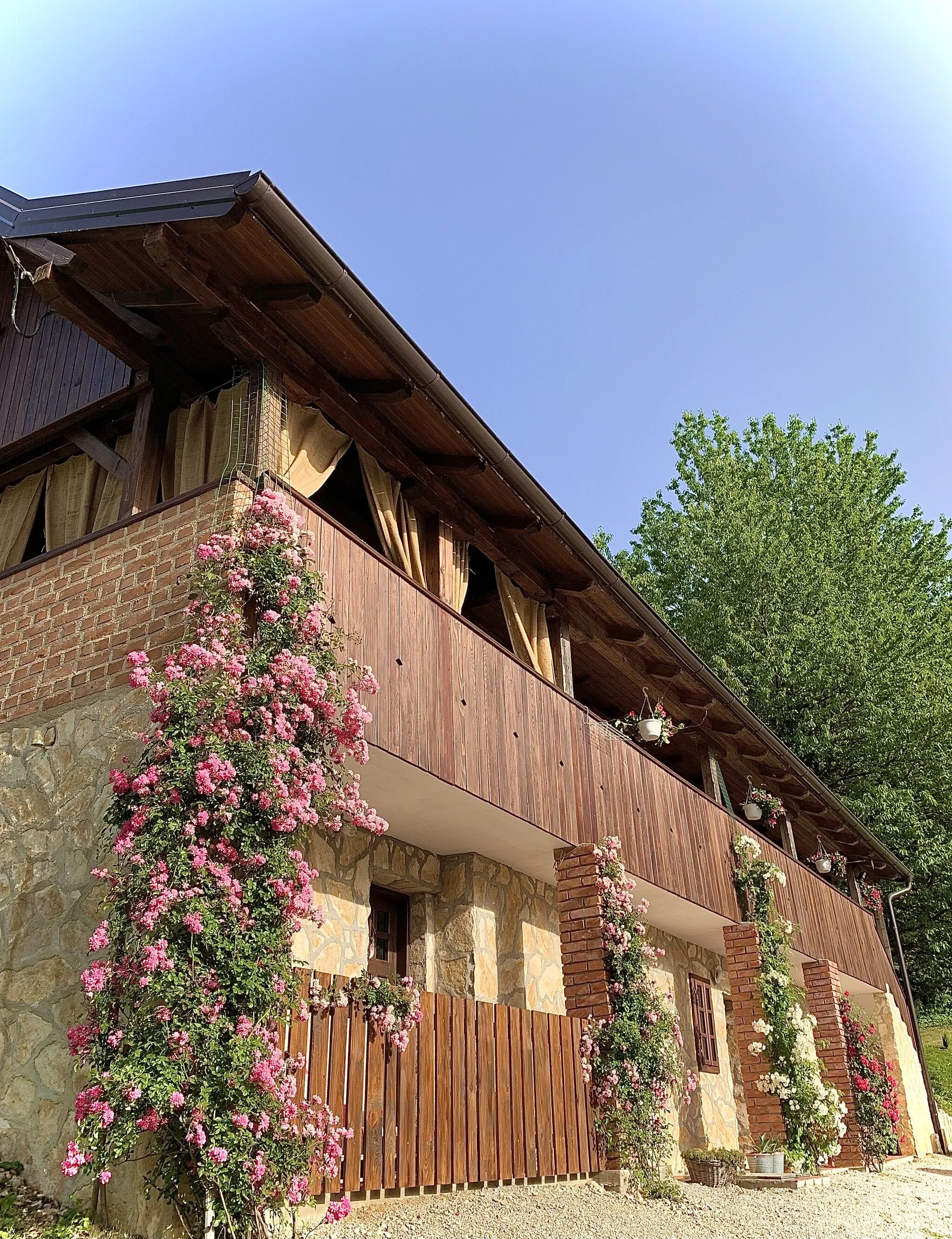 Family Friendly House With A Swimming Pool Novi Marof, Zagorje - 19184 Novi Marof - foto 5