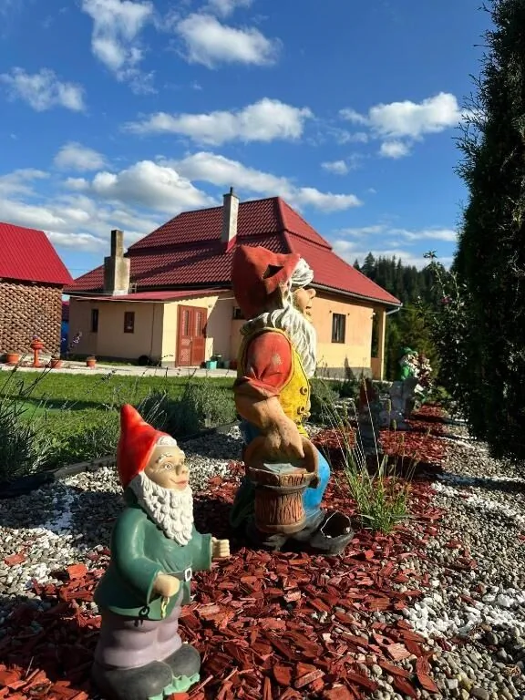 Cazare La Nea Marin Stânceni - foto 4