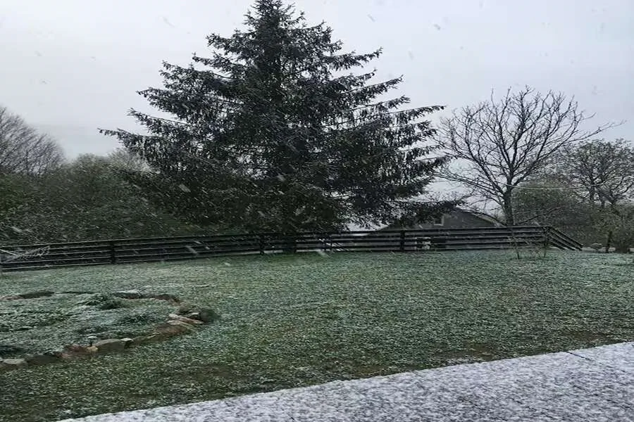 Cabana Ferma Grozea Abrud – Abrud, România