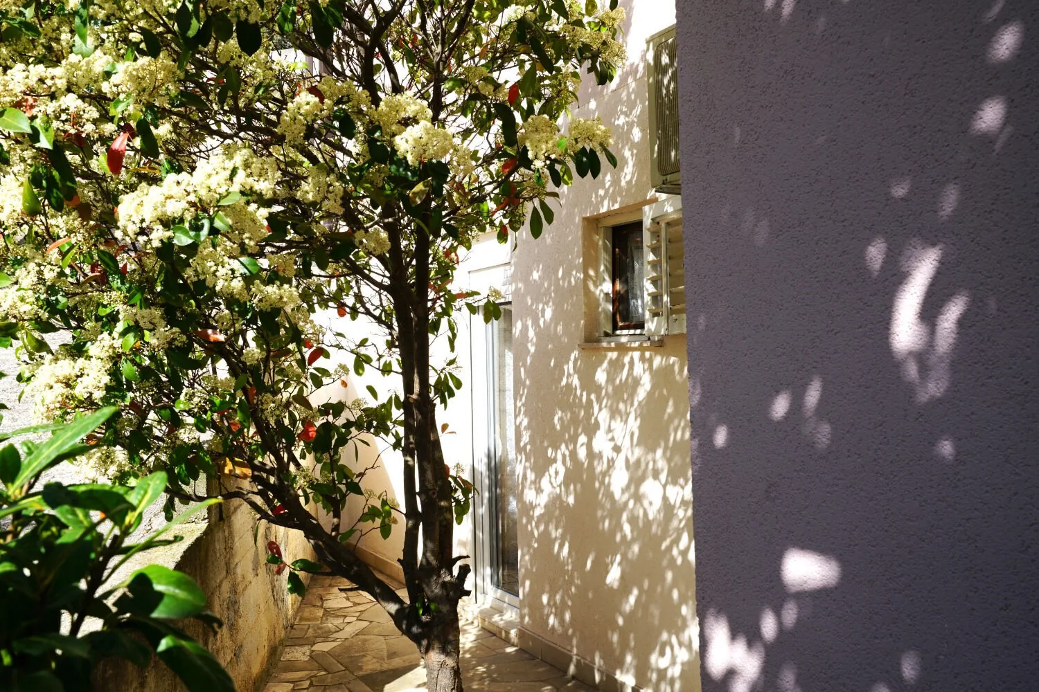 Apartment Lile Pisak – Pisak, Croația