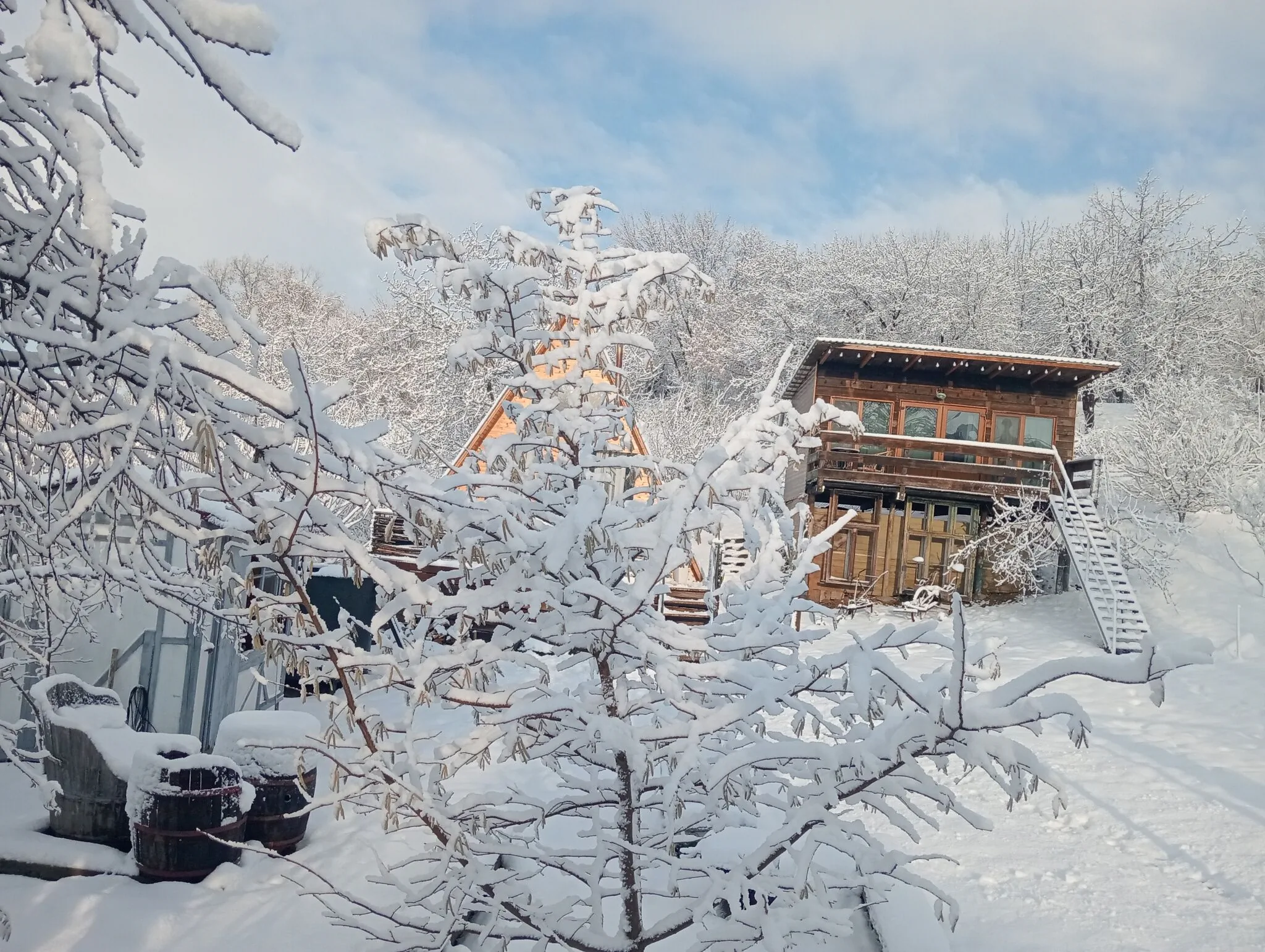 Cabana Alexa Tăşnad – Tăşnad, România