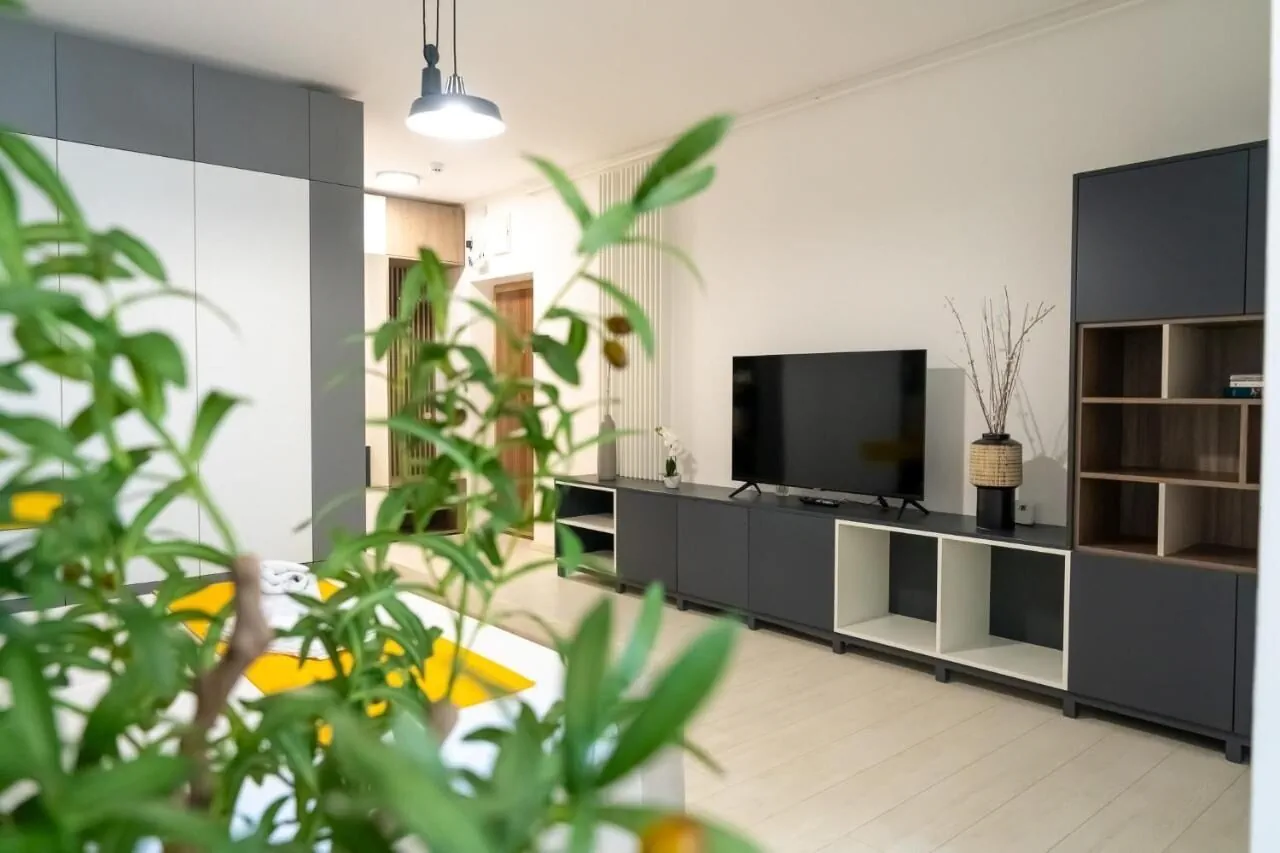 Apartament Joy City Stay Charming Unique Timișoara – Timișoara, România