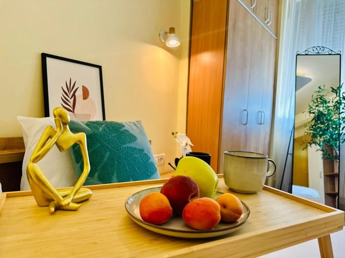 Apartament Joy City Stay Ultracentral Charming Timișoara – Temešvár, Rumunsko
