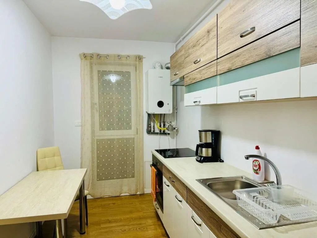 Apartament Joy City Stay Campeador 85 Timișoara - foto 10