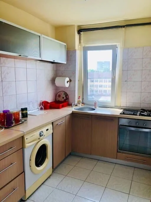 Apartament Joy City Stay Lucaciu 16 Timișoara – Temešvár, Rumunsko