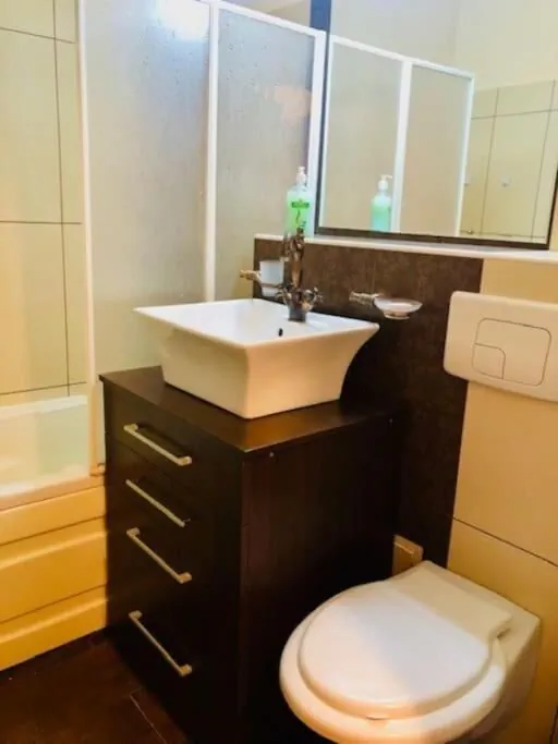 Apartament Joy City Stay Republicii 19 Timișoara – Temešvár, Rumunsko