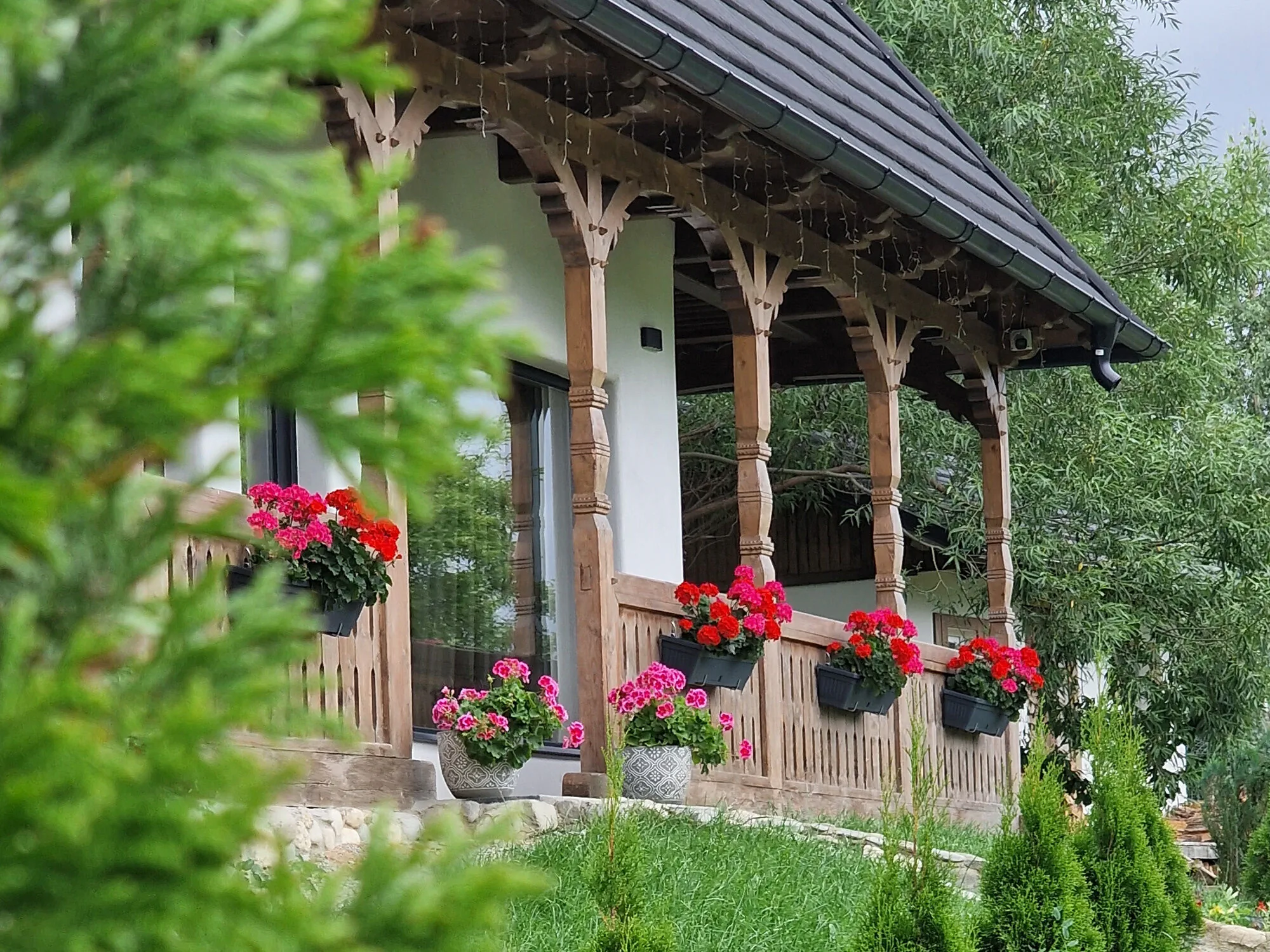 Plai din Bran Transilvania – Predelut, România