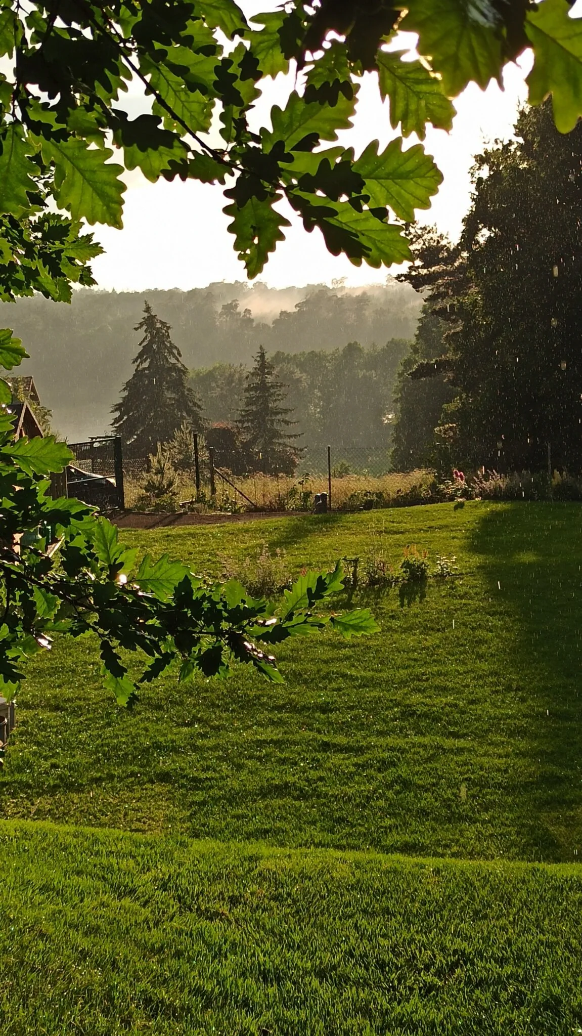 Dom całoroczny 7-osobowy Cicho-Ciszej Wiktorowo – Wiktorowo, Polska