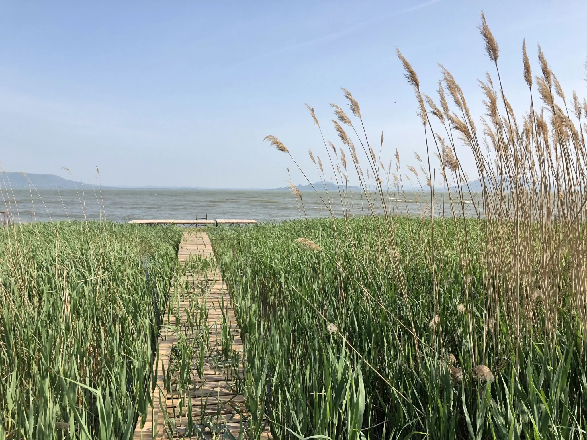 Hullámház Apartmanok Balatonmáriafürdő – Balatonmáriafürdő, Ungaria