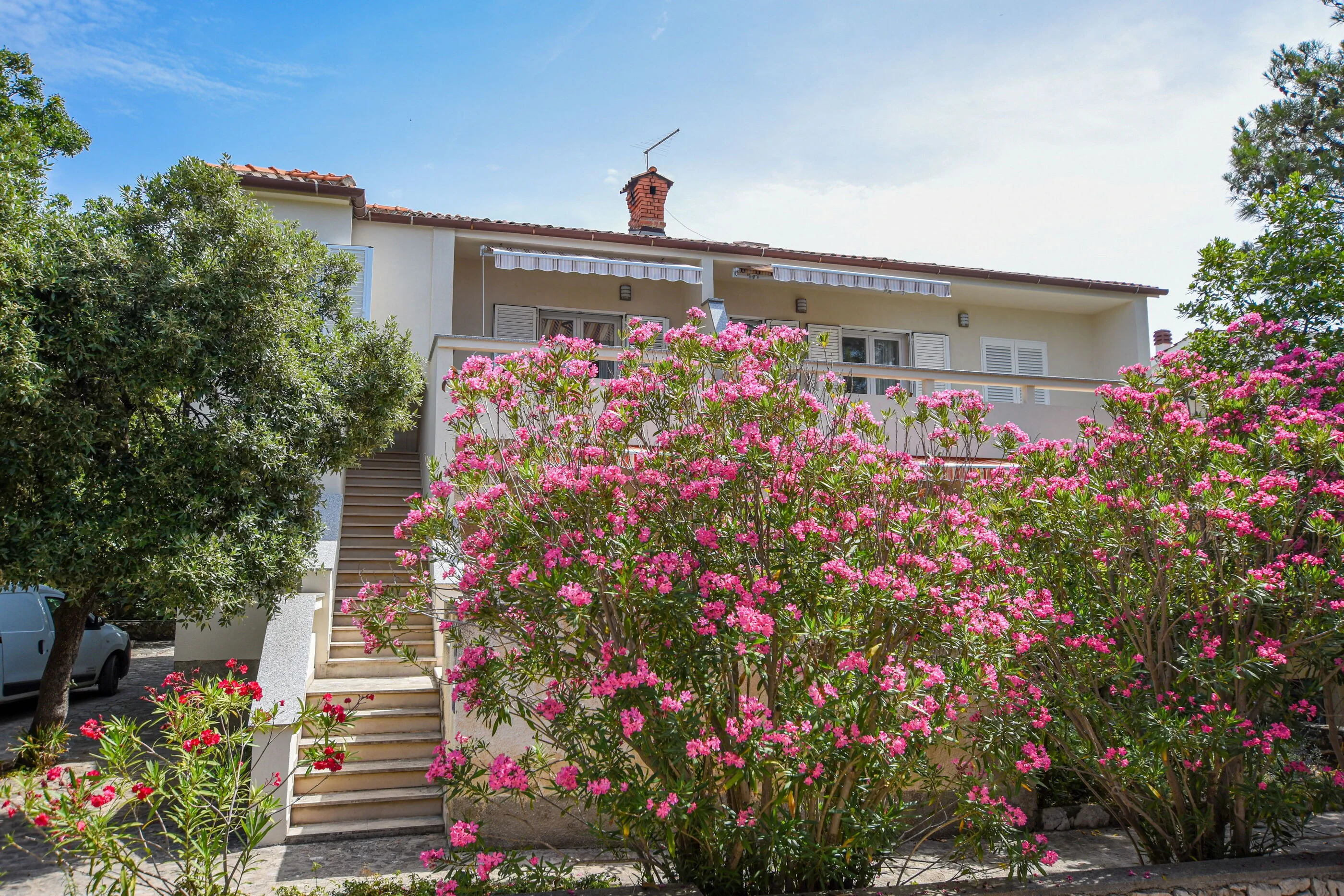 Apartment Oleandra Mandre – Mandre, Chorvatsko