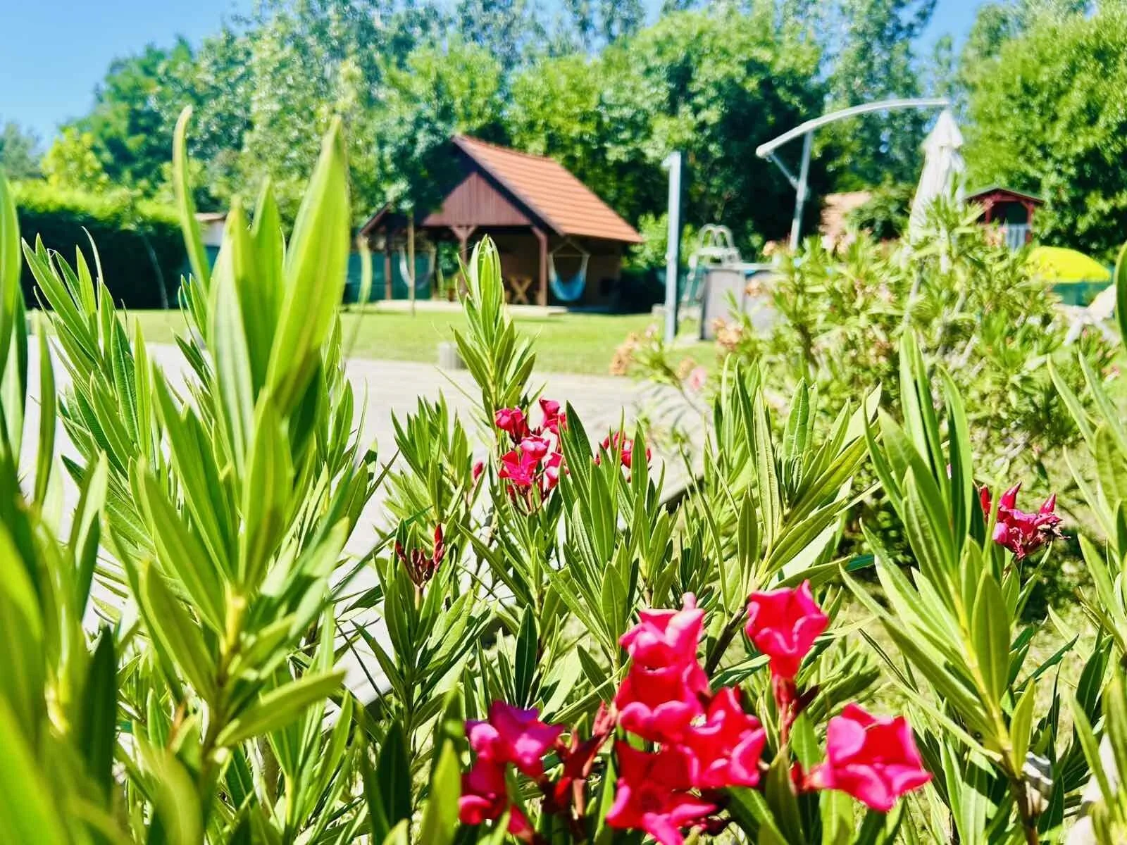PusztánJó Vendégház Komádi Dobaipuszta – Komádi, Maďarsko