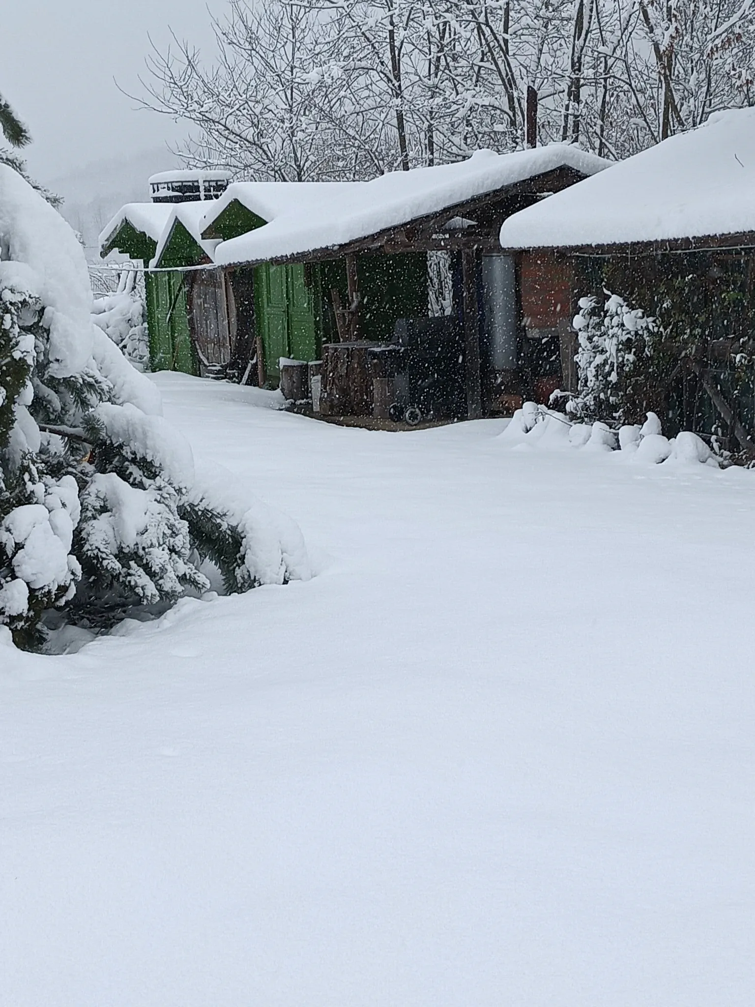 Casa Vânătorului Buzăiel - foto 5