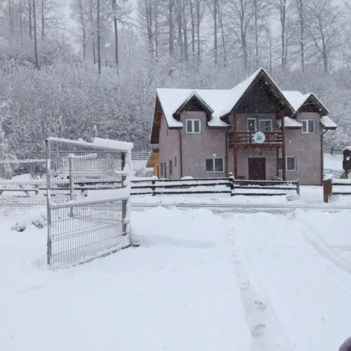 Casa Vânătorului Buzăiel - foto 1